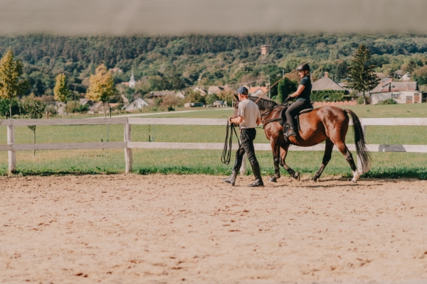 Equital lovarda, lovas oktatás